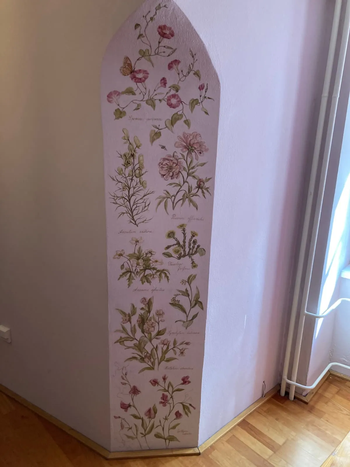 Nástěnná malba, herbář